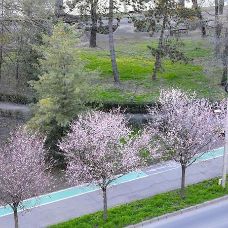 טימישוארה Riverside 1 מראה חיצוני תמונה
